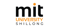 MIT-University