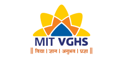 MIT-VGHS